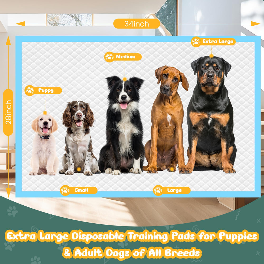 YOPETKI uso en interiores y exteriores, versatilidad para mascotas
