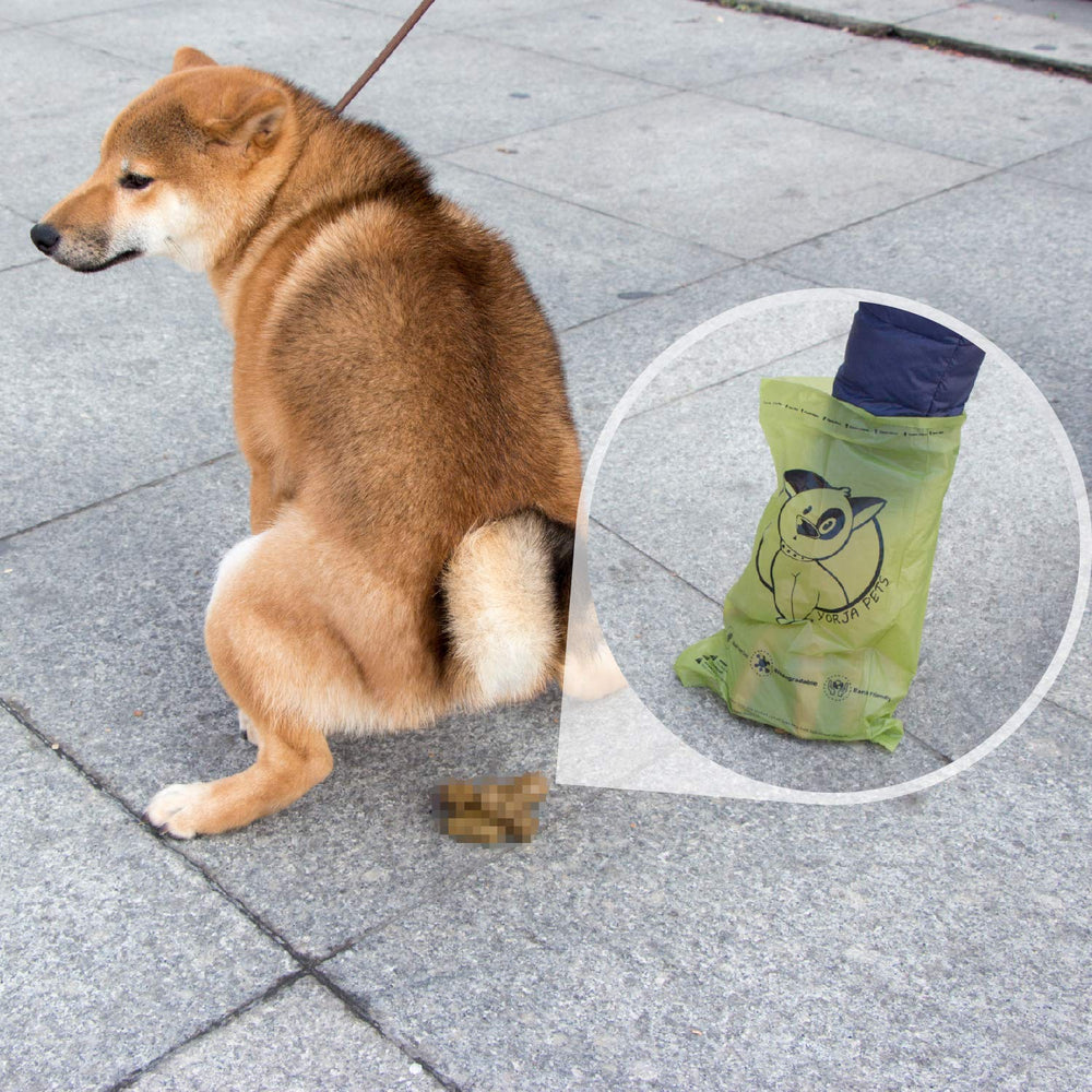 Uso diario de bolsas Yorja para perro, compatible con dispensadores estándar.