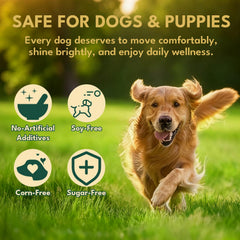 Pelaje brillante gracias al colágeno de YOTANGO para perros