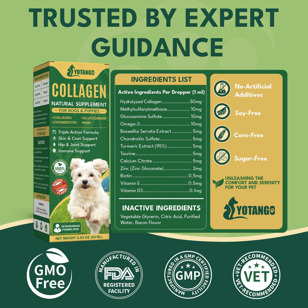 Uso diario sencillo para perros de todas las edades con YOTANGO Colágeno