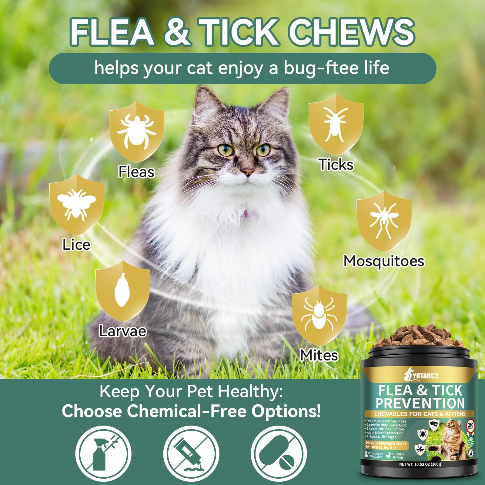 YOTANGO ingredientes coco, linaza y neem, apoyo natural para la salud diaria.