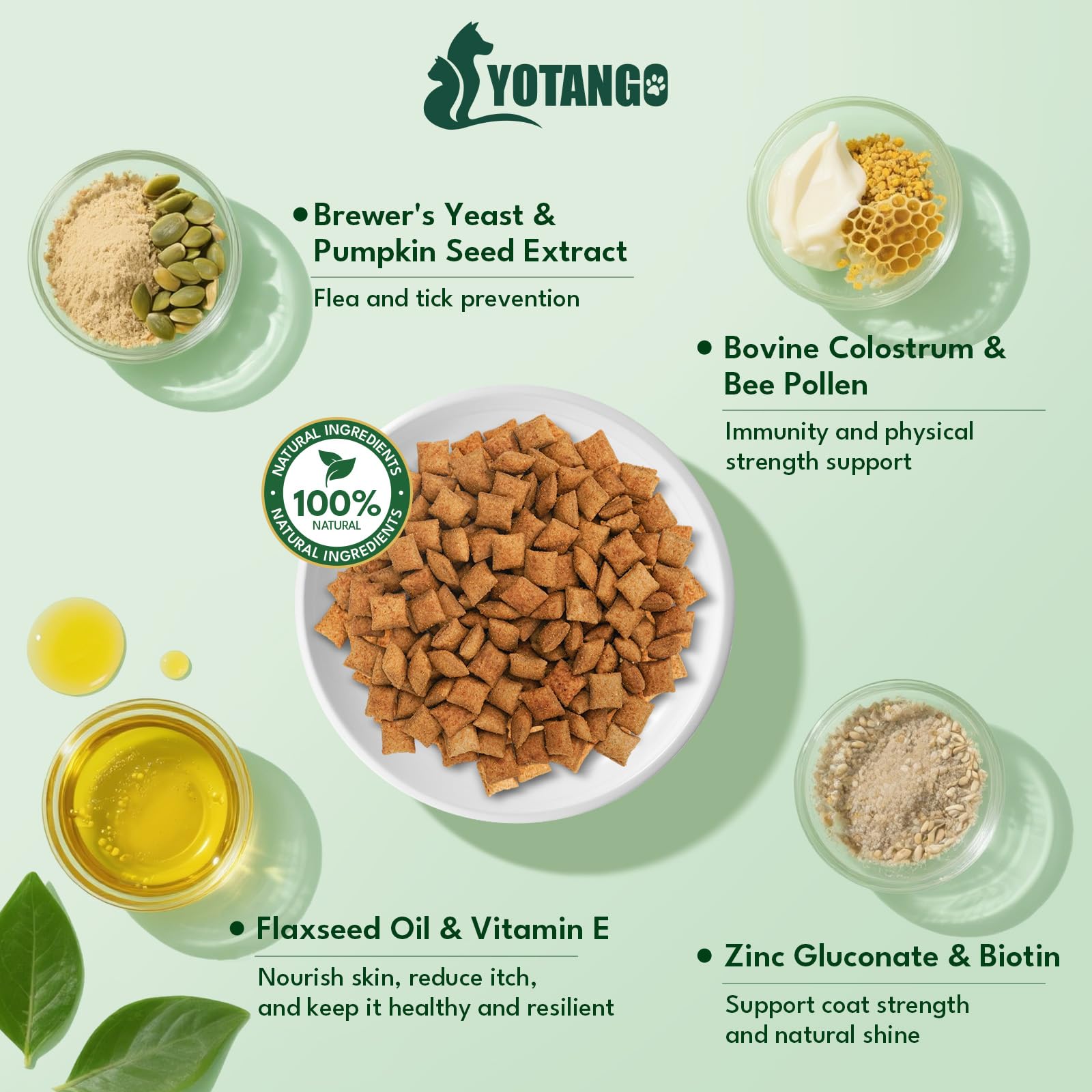 Apoyo digestivo suave con YOTANGO premasticos para perros, ideal para comidas diarias