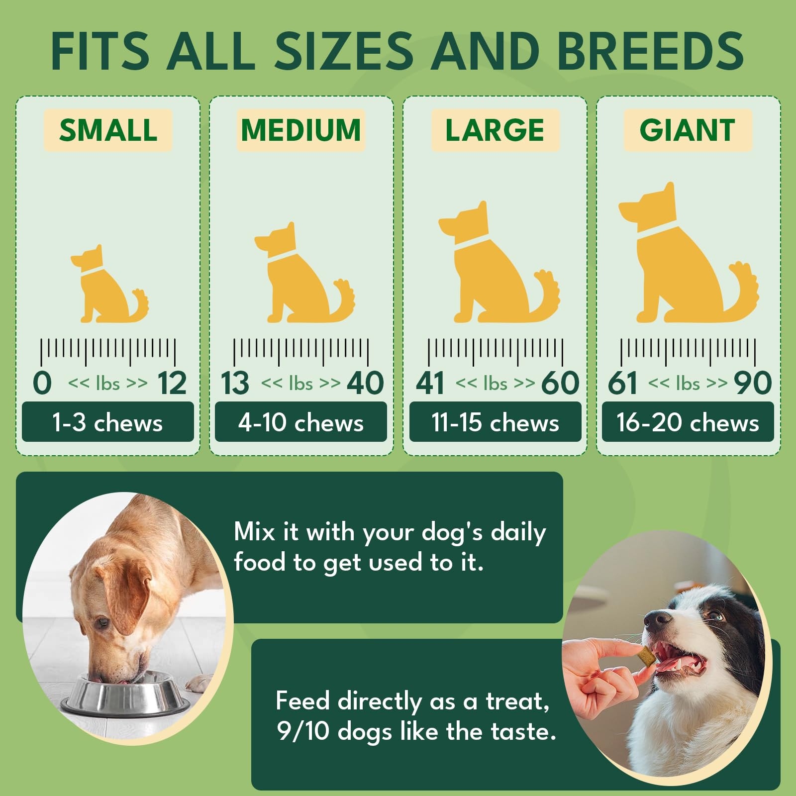 Ingredientes naturales sin colorantes en YOTANGO premasticos para perros