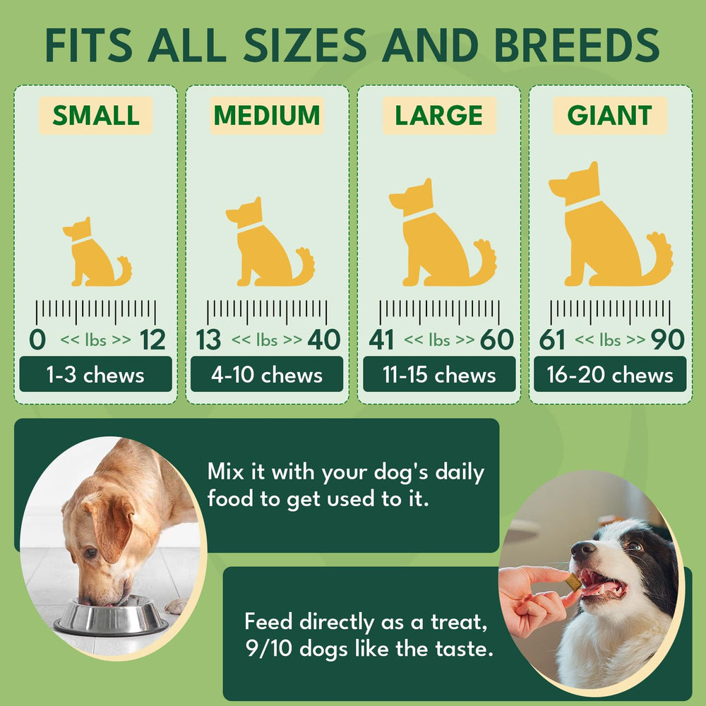 Ingredientes naturales sin colorantes en YOTANGO premasticos para perros