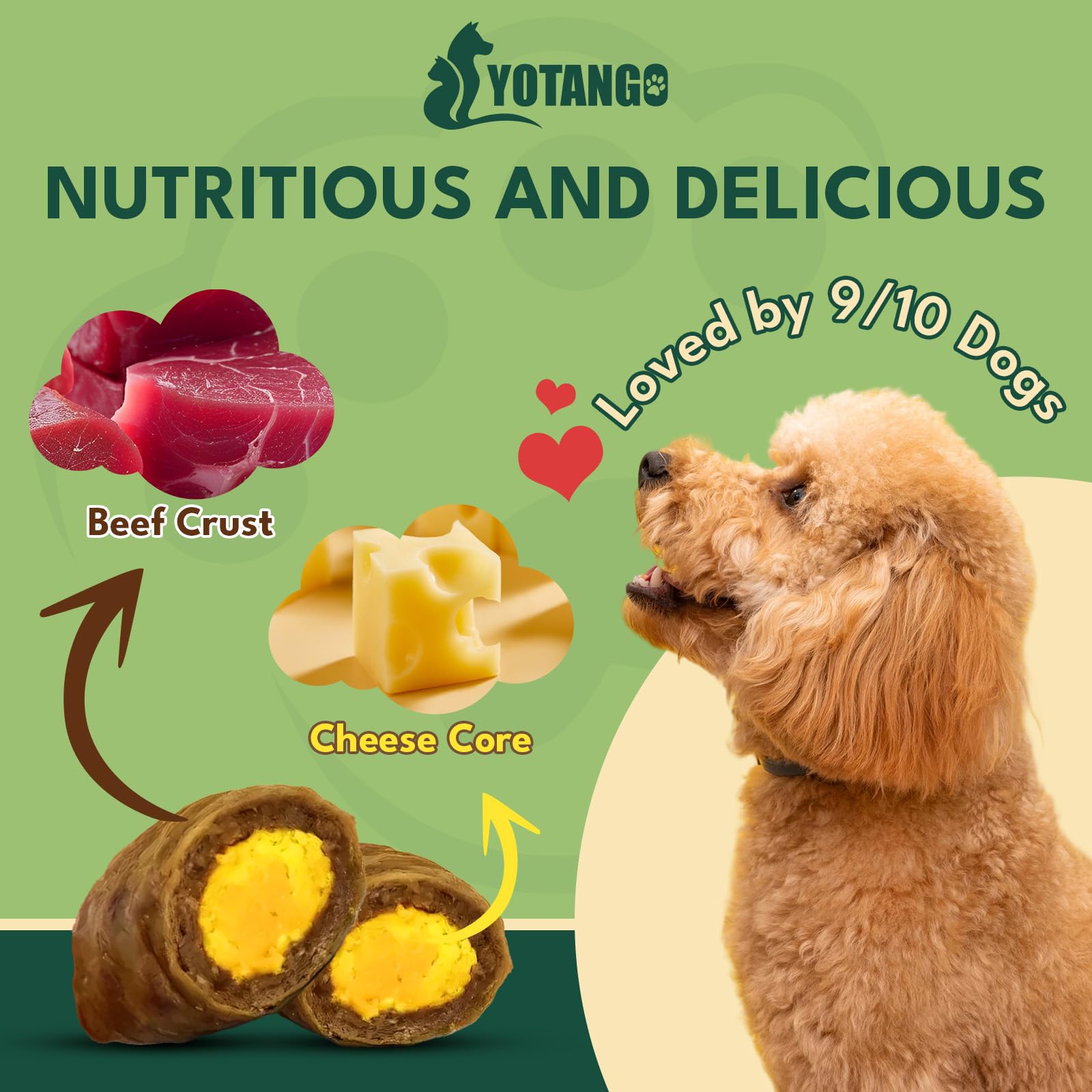 Pelaje brillante gracias a los ingredientes naturales de YOTANGO premasticos para perros