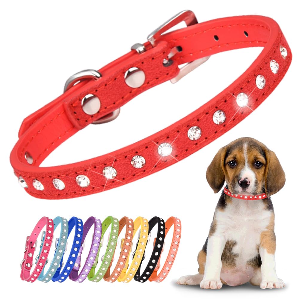 YOUALSO collar cristal-bling xxS para paseos nocturnos con brillo.