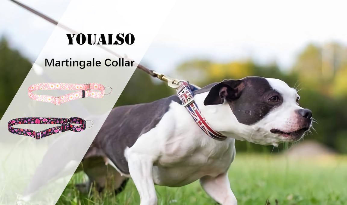 YOUALSO collar martingale, ajuste dinámico para control suave.