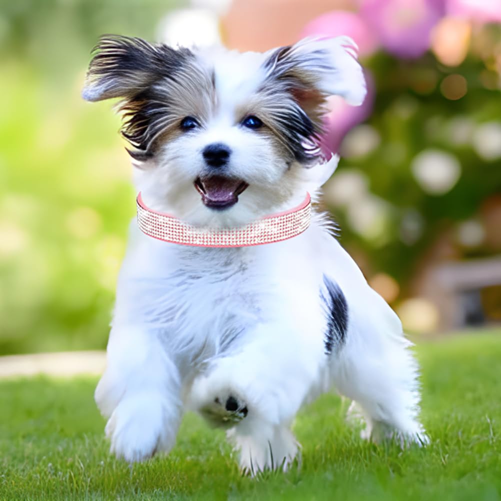 YOUALSO collar perro con brillos cristal púrpura, modelo elegante para fiestas