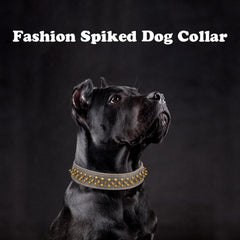 YOUALSO collar de perro hebilla ajustable marrón, ajuste seguro en caminatas