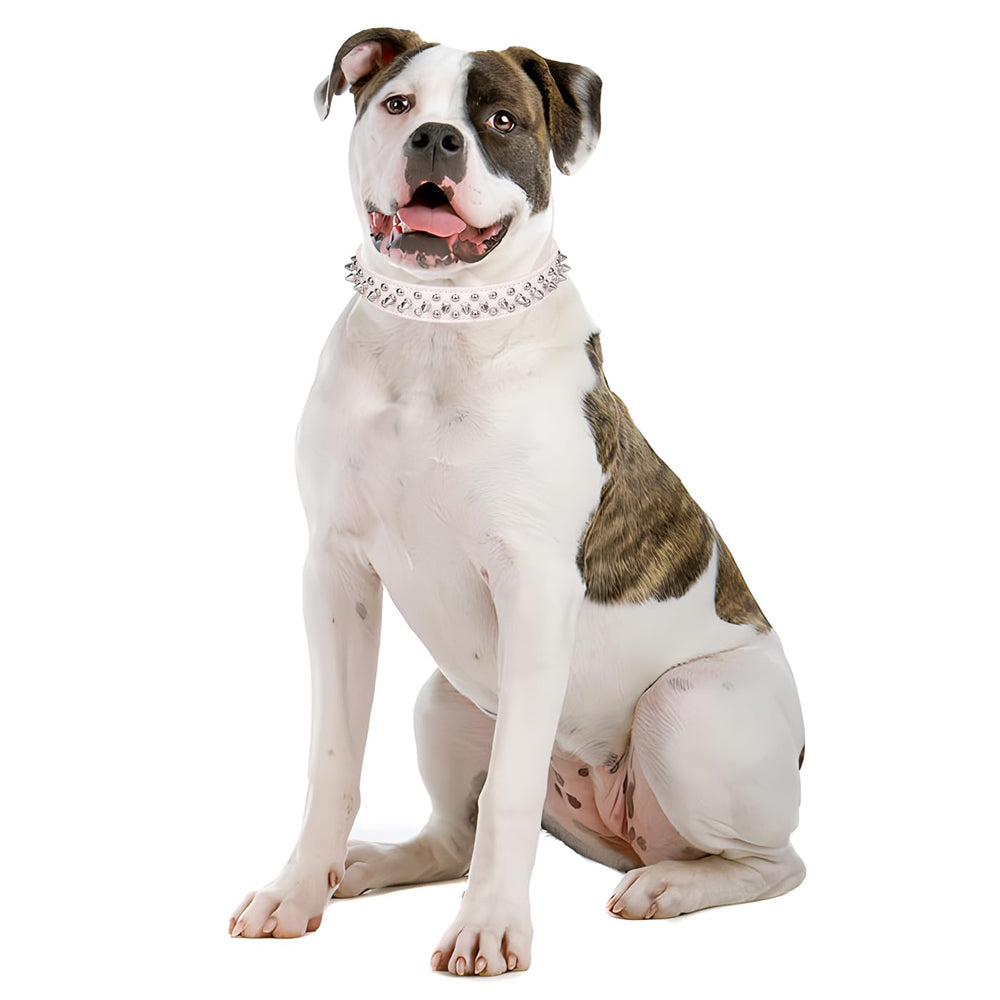 YOUALSO collar con púas para mordidas, diseño práctico para perros