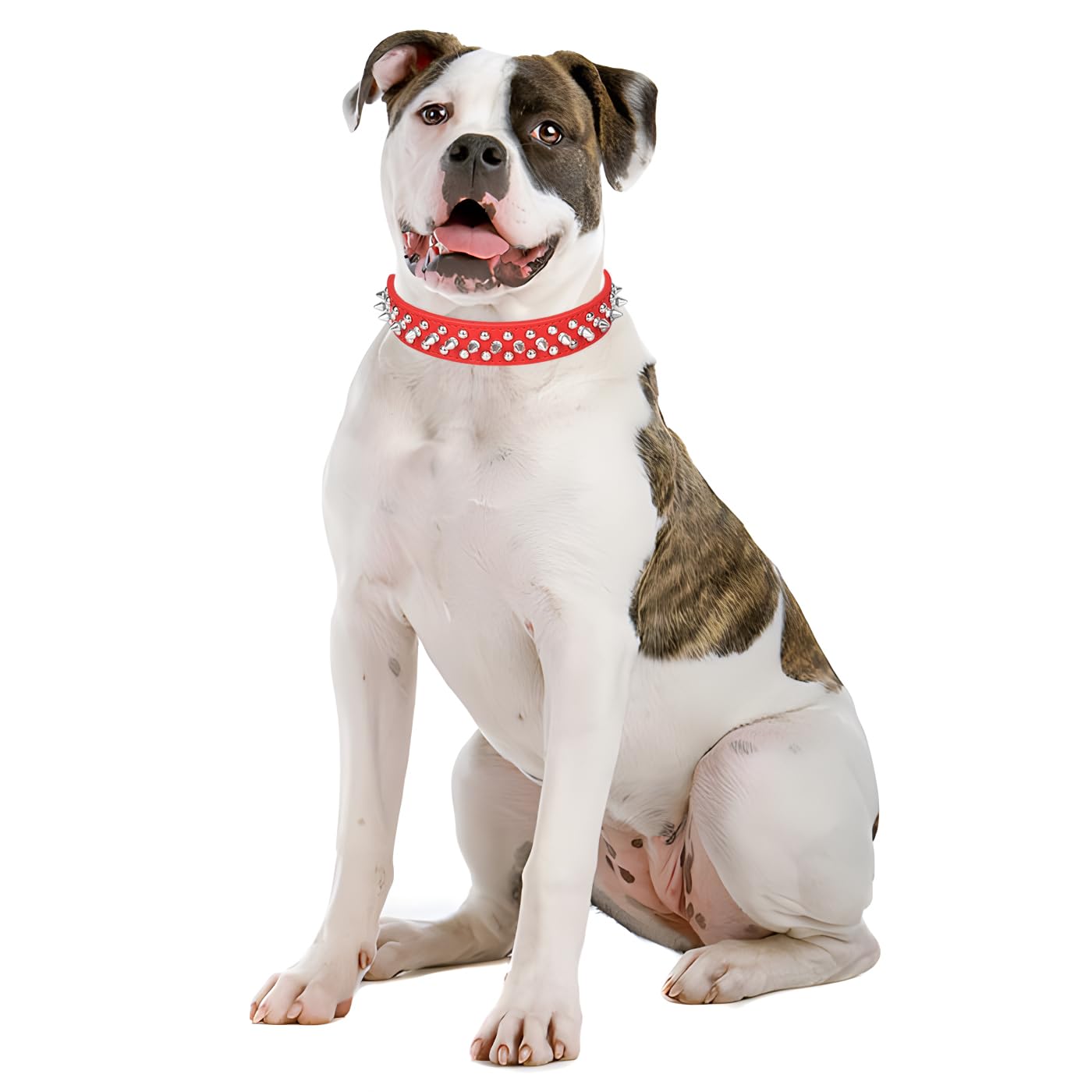youalso collar para perros y gatos pequeños; perfecto para juego y paseo.