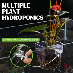Youdaju decoracion acuario plantas naturales para realzar el paisaje submarino