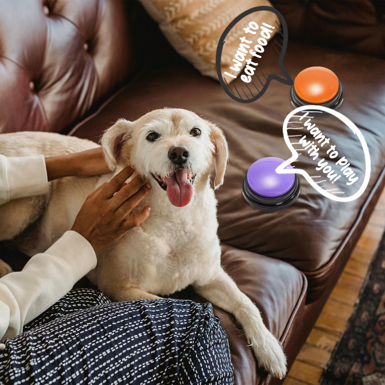 Youeon en casa para mejorar interacción entre dueño y mascota