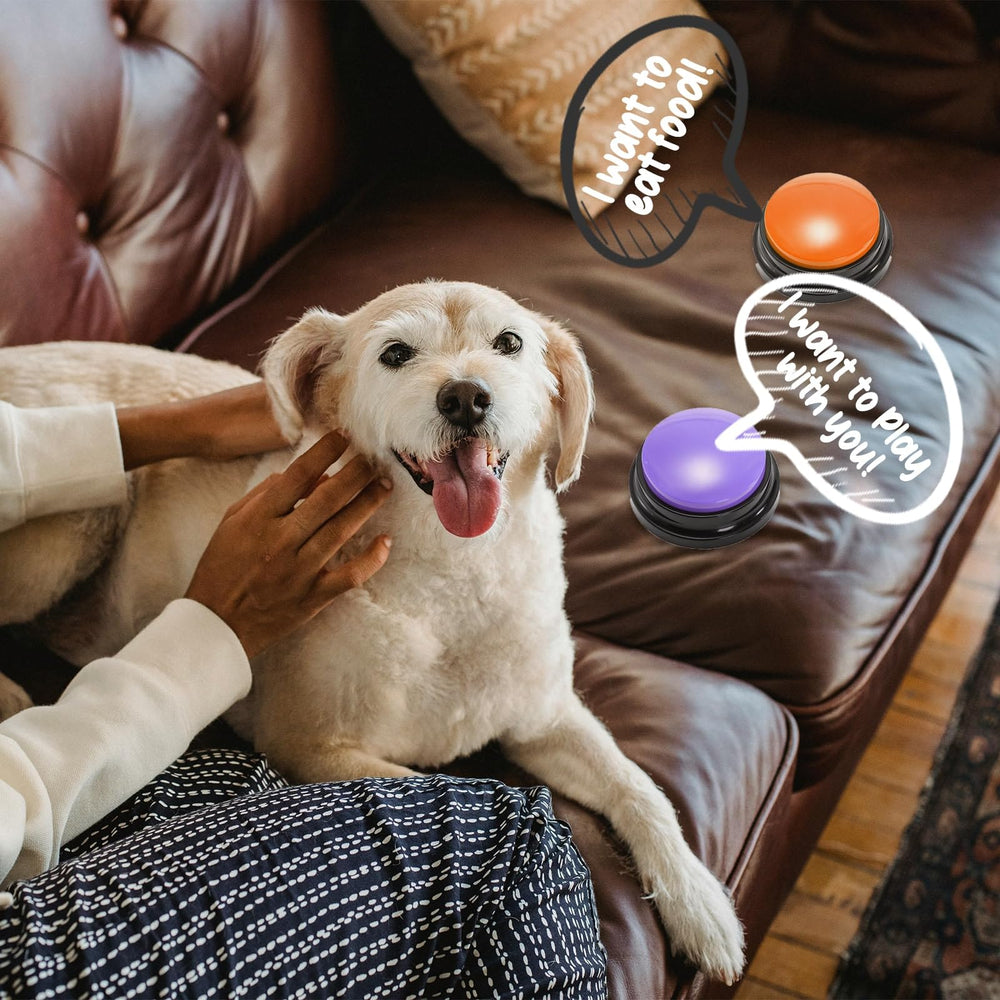 Youeon en casa para mejorar interacción entre dueño y mascota