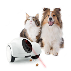 Youpet cámara mascotas aplicación 1080p: visión nítida y control remoto.