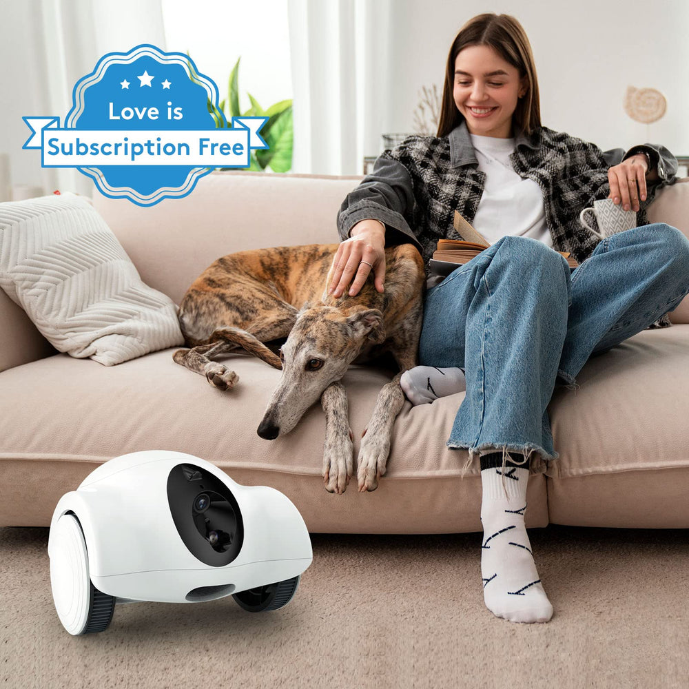 Youpet control por aplicación: comparte acceso con familiares.