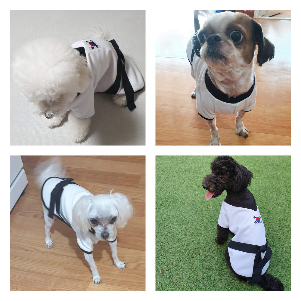 YOUTHDOG ropa canina para fiestas y regalos, ocasión ideal para celebrar.