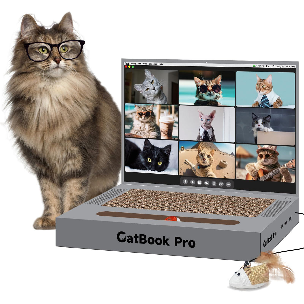 YOUXIFUN portatil rascador para gatos, entretenimiento seguro en casa.