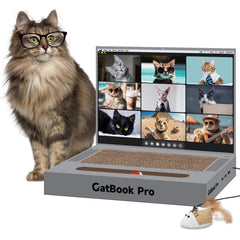 YOUXIFUN portatil rascador para gatos, entretenimiento seguro en casa.