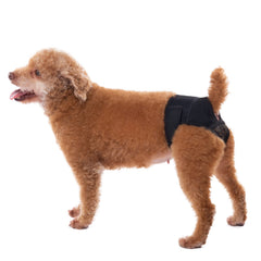 Cierre cómodo y ajuste seguro en Pantalones Yrenoer para perros en calor