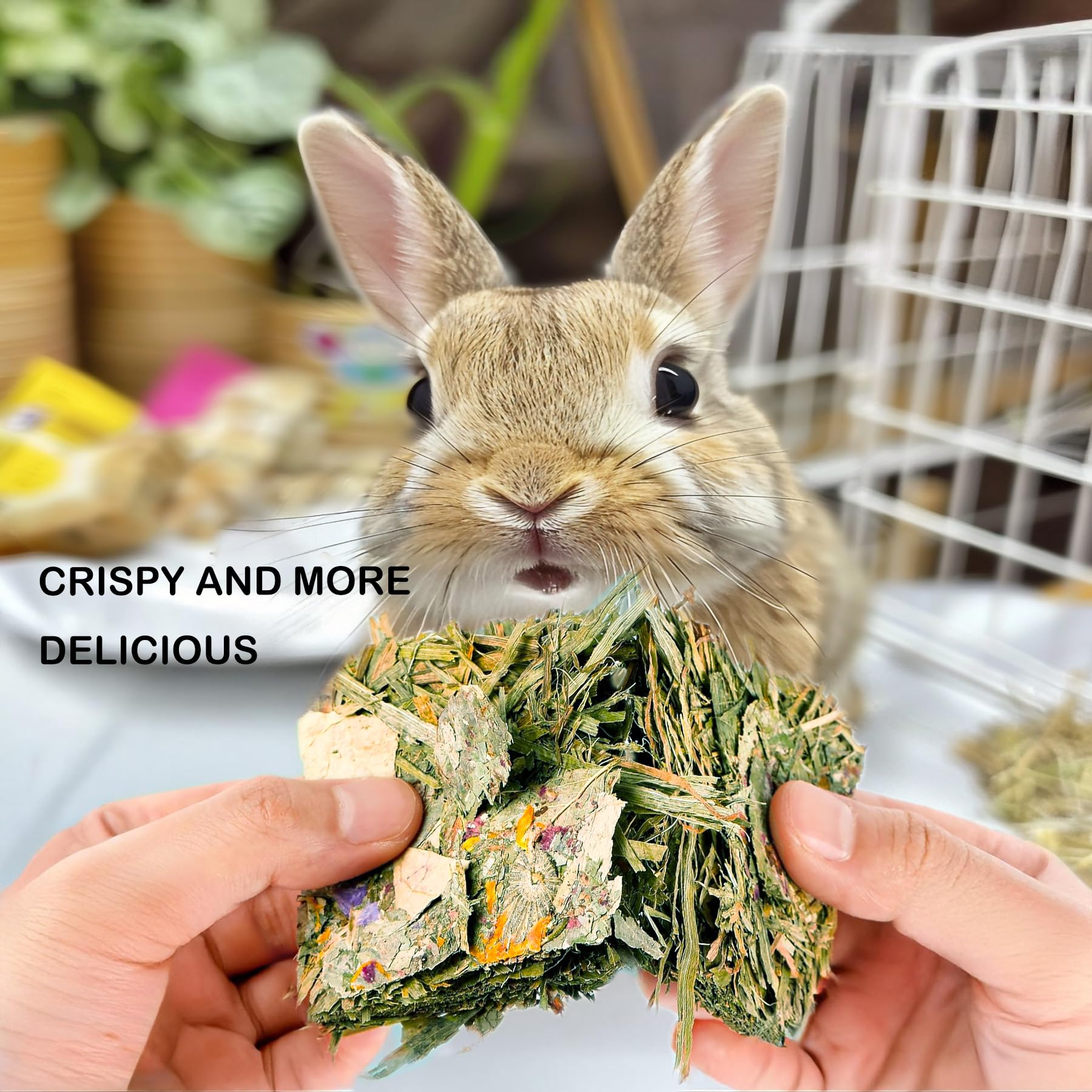 Snacks para hámster YTSKJ que mantienen ocupados y entretenidos.