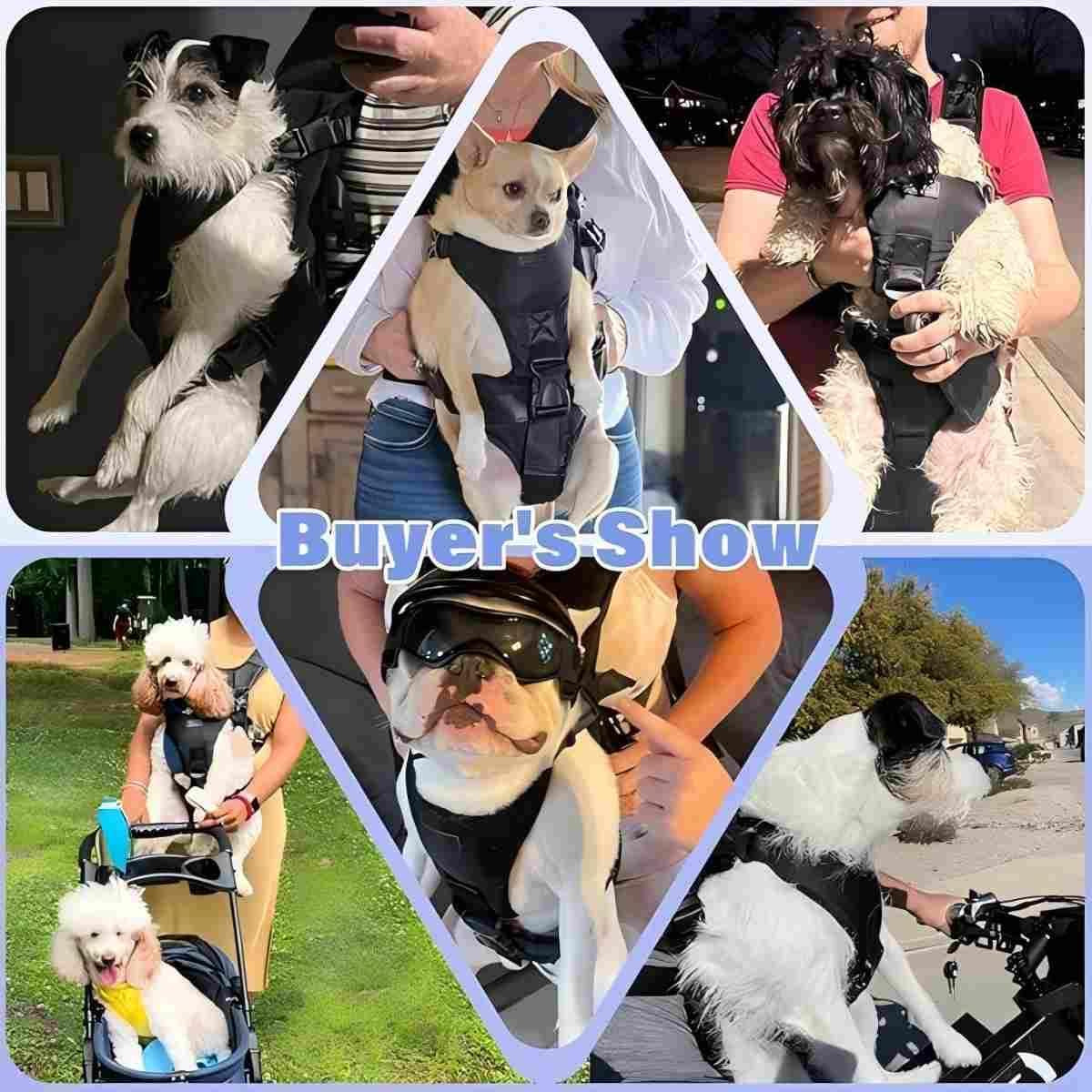 Ajuste multipunto YUDODO para perros y gatos.