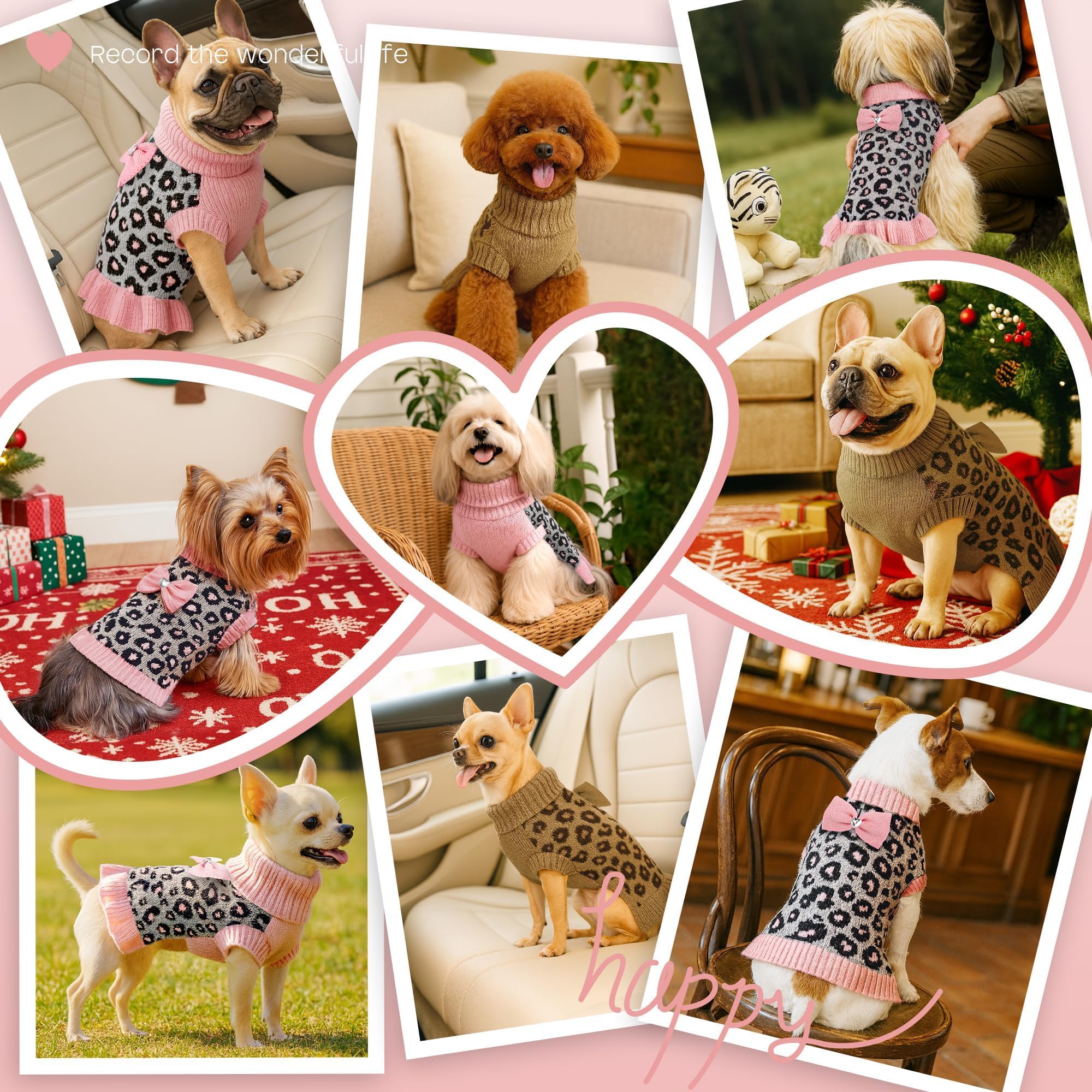 Regalo de Navidad para mascota con estilo YUDODO
