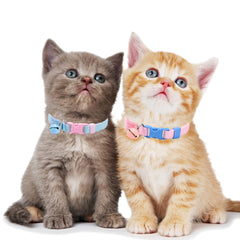 Campana color macaron en collar YUDOTE, ayuda a localizar al felino.