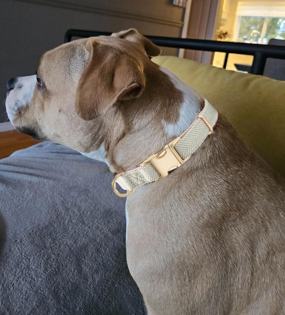 Tela suave adecuada para piel sensible de perros.