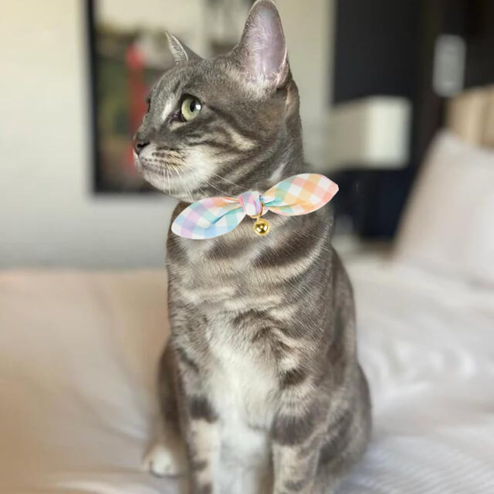 Collar para gato de dos piezas YUDOTE, fácil de intercambiar lazo