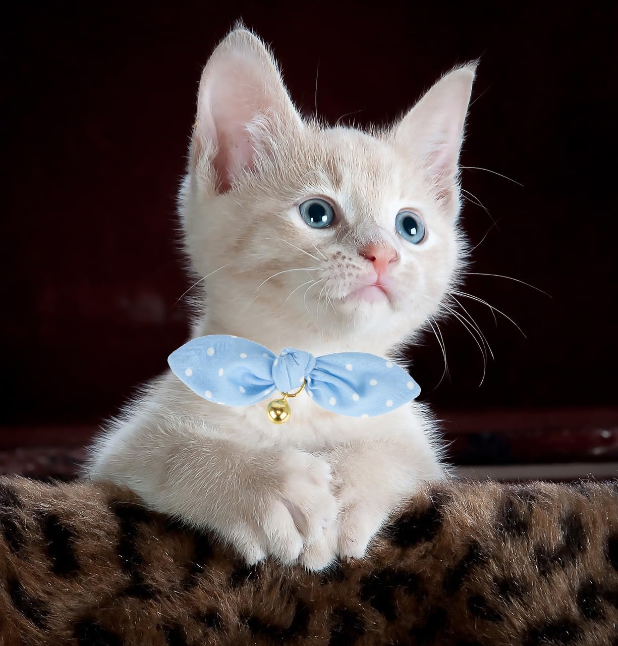 Accesorio de campana YUDOTE, ayuda a localizar al gato con discreción sonora