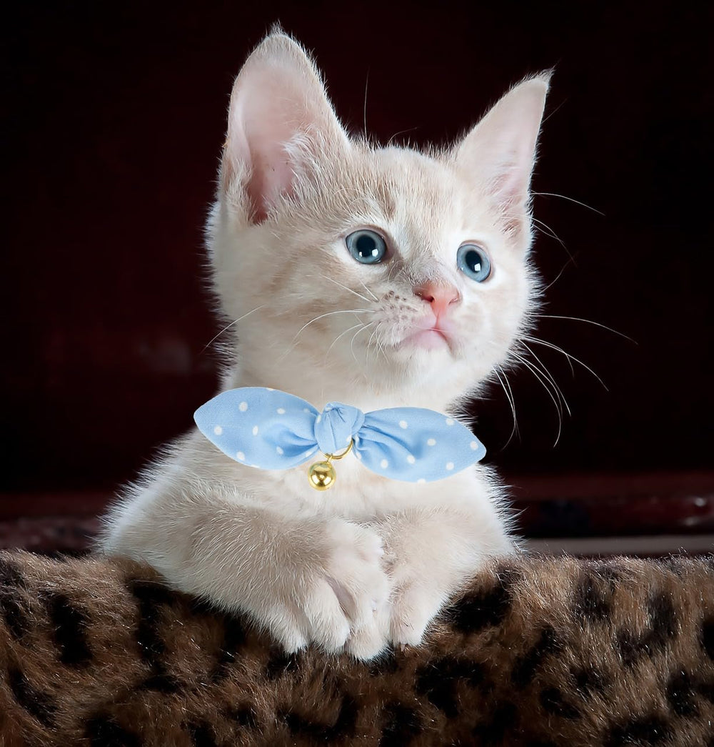 Accesorio de campana YUDOTE, ayuda a localizar al gato con discreción sonora