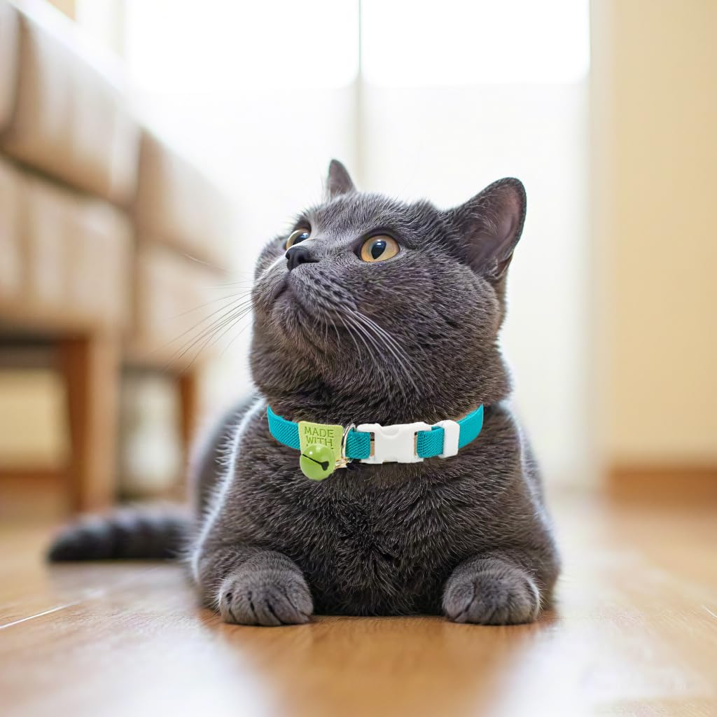 Collar YUDOTE con etiqueta tejida para estilo.