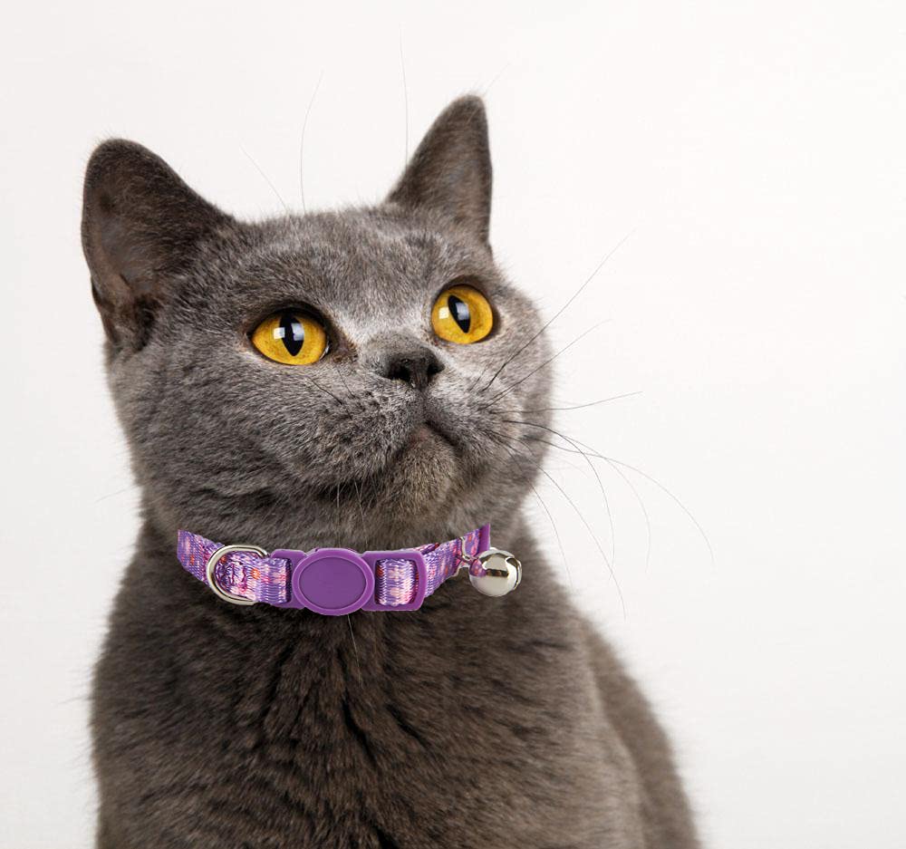 Collar YUDOTE con campana que facilita localizar al gato en casa.
