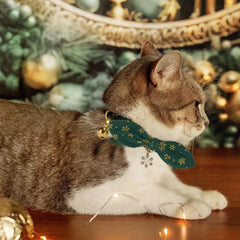 YUDOTE collar de algodón suave, cómodo en la piel de tu felino.