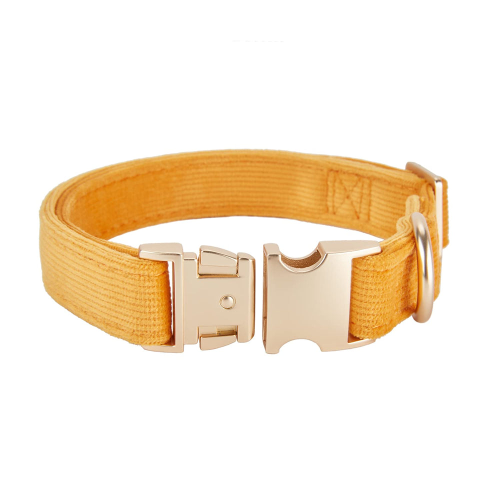 Collar YUDOTE: hebilla-metalica-dorada que mejora la durabilidad en paseos.