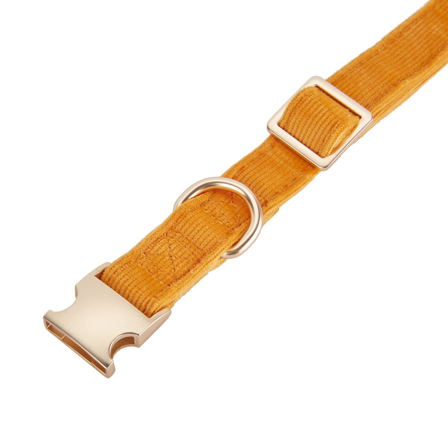 Collar YUDOTE: peso-ligero para uso diario sin molestar al perro.