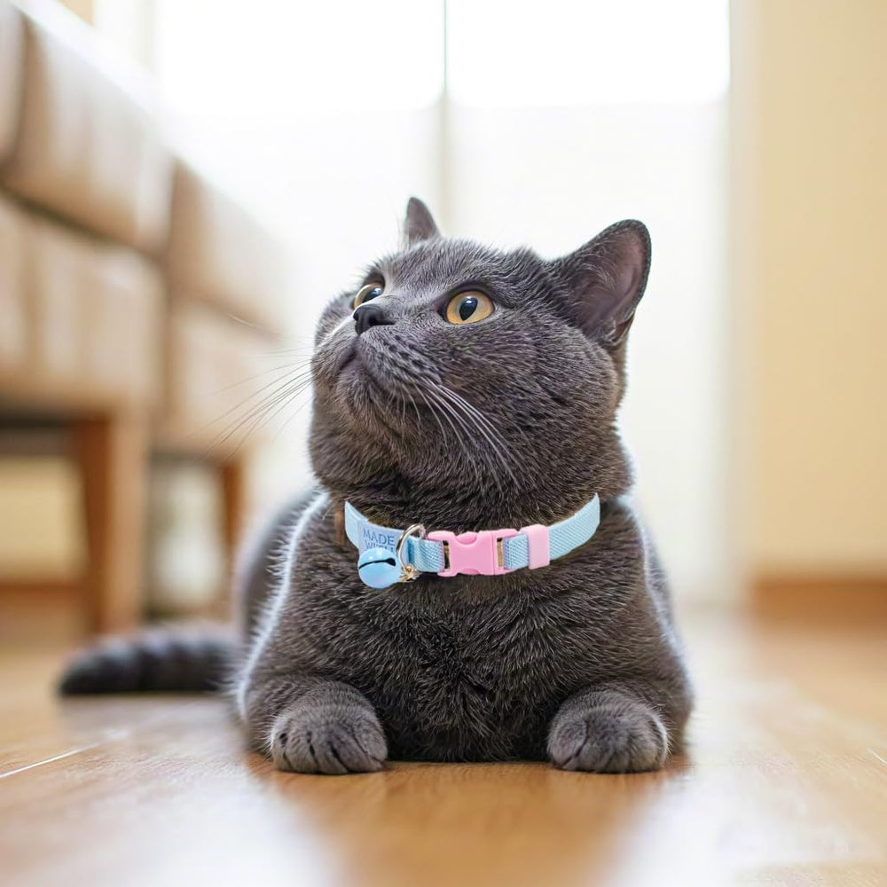 Etiqueta tejida decorativa en collar YUDOTE para gato, estilo unico.