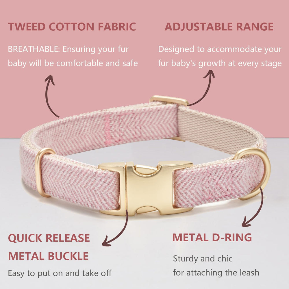 Hebilla metálica del collar YUDOTE, primer plano, duradera para entrenamientos