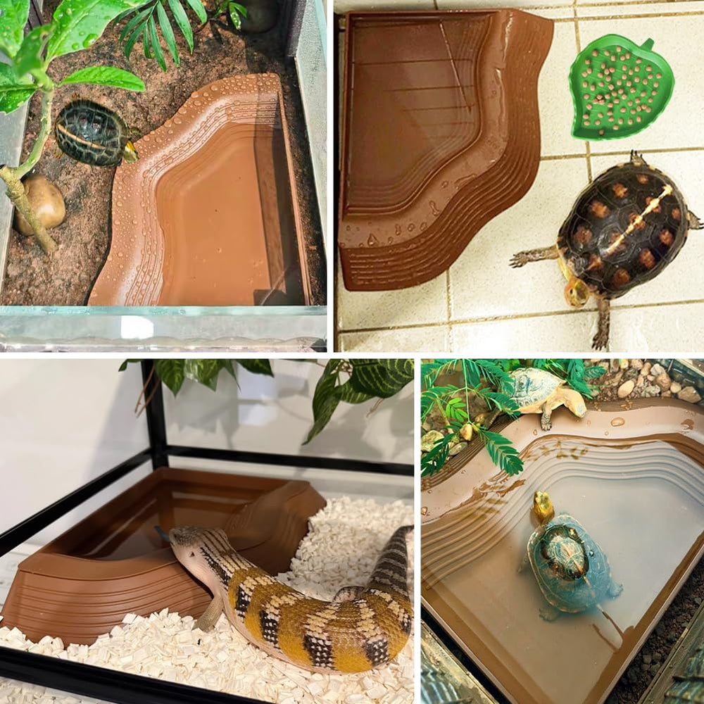diseño en ángulo para encajar en el terrario y ahorrar espacio