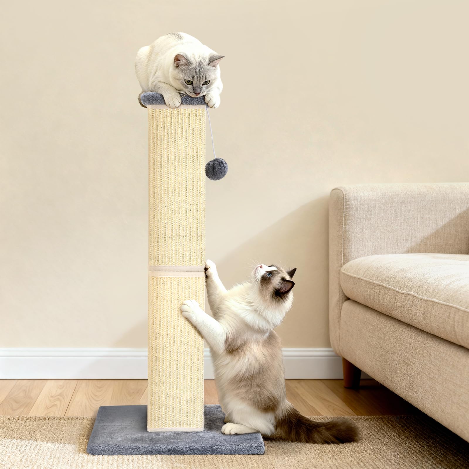 YULOYI para gatos grandes: ideal para interiores y juego.