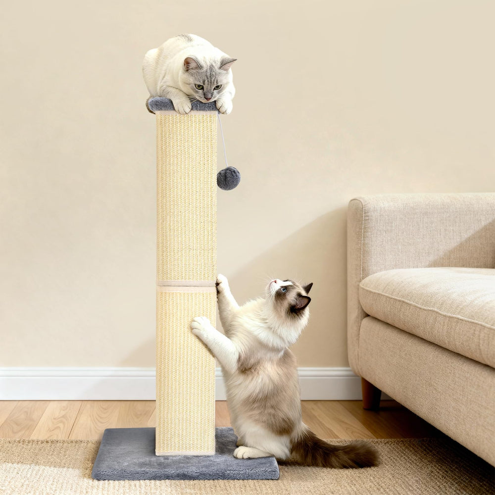 YULOYI para gatos grandes: ideal para interiores y juego.