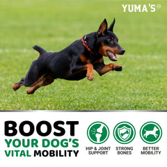 YUMA'S Aceite de cáñamo para perros, apoyo natural al movimiento.