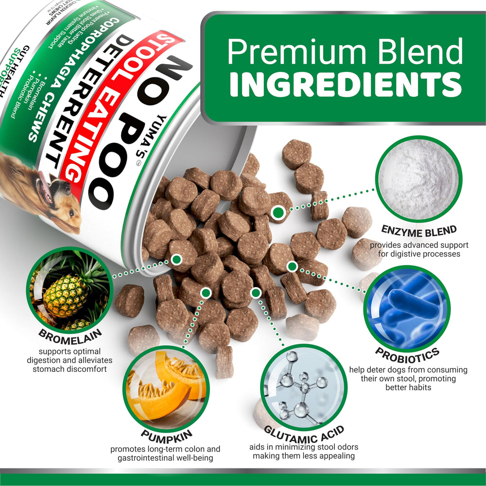 YUMA'S Enfoque digestivo con probióticos y enzimas, mejora la salud intestinal.