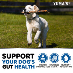 YUMA'S probióticos para perros: aptos para todas las edades y tamaños.