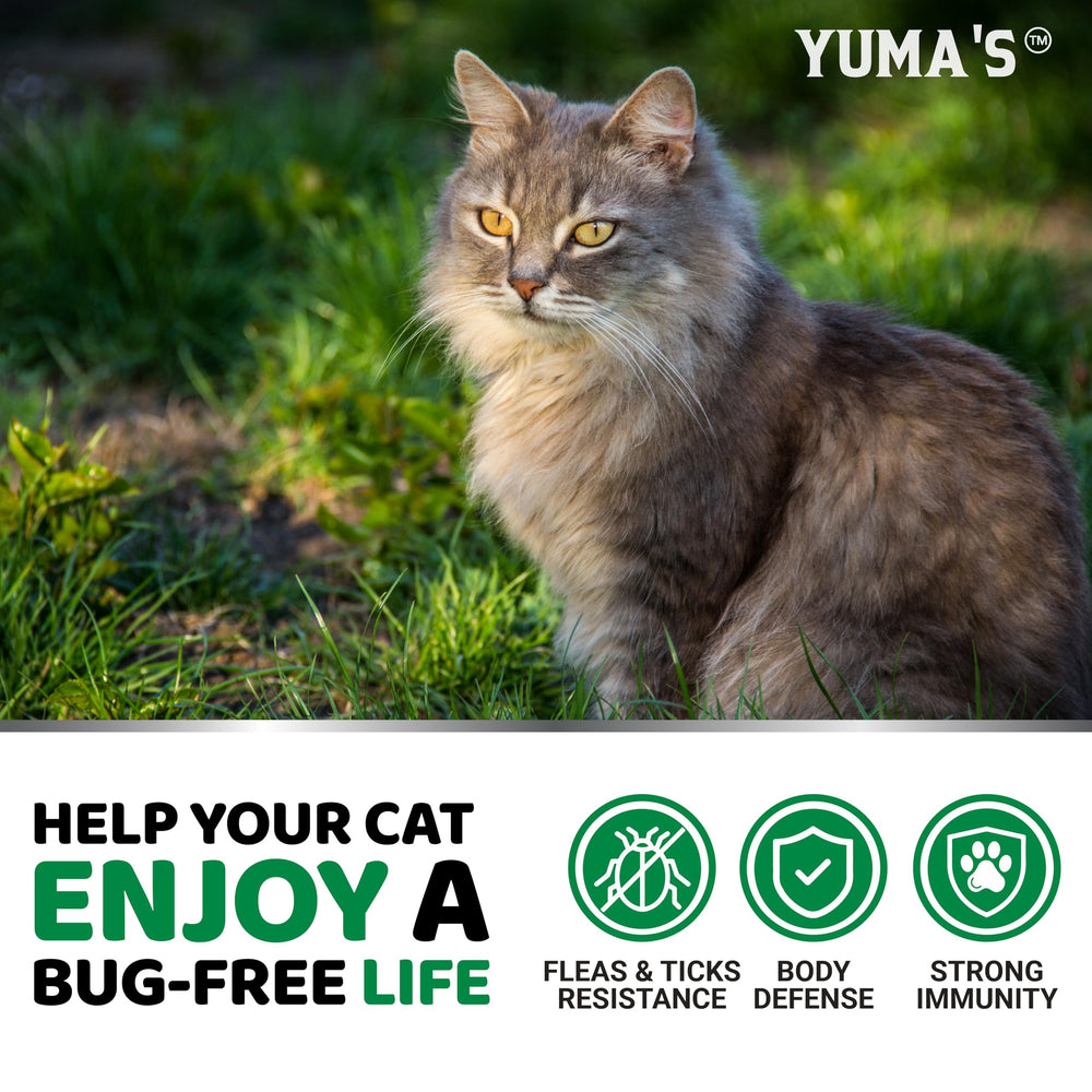 YUMA'S formula veterinaria y hecho en Estados Unidos