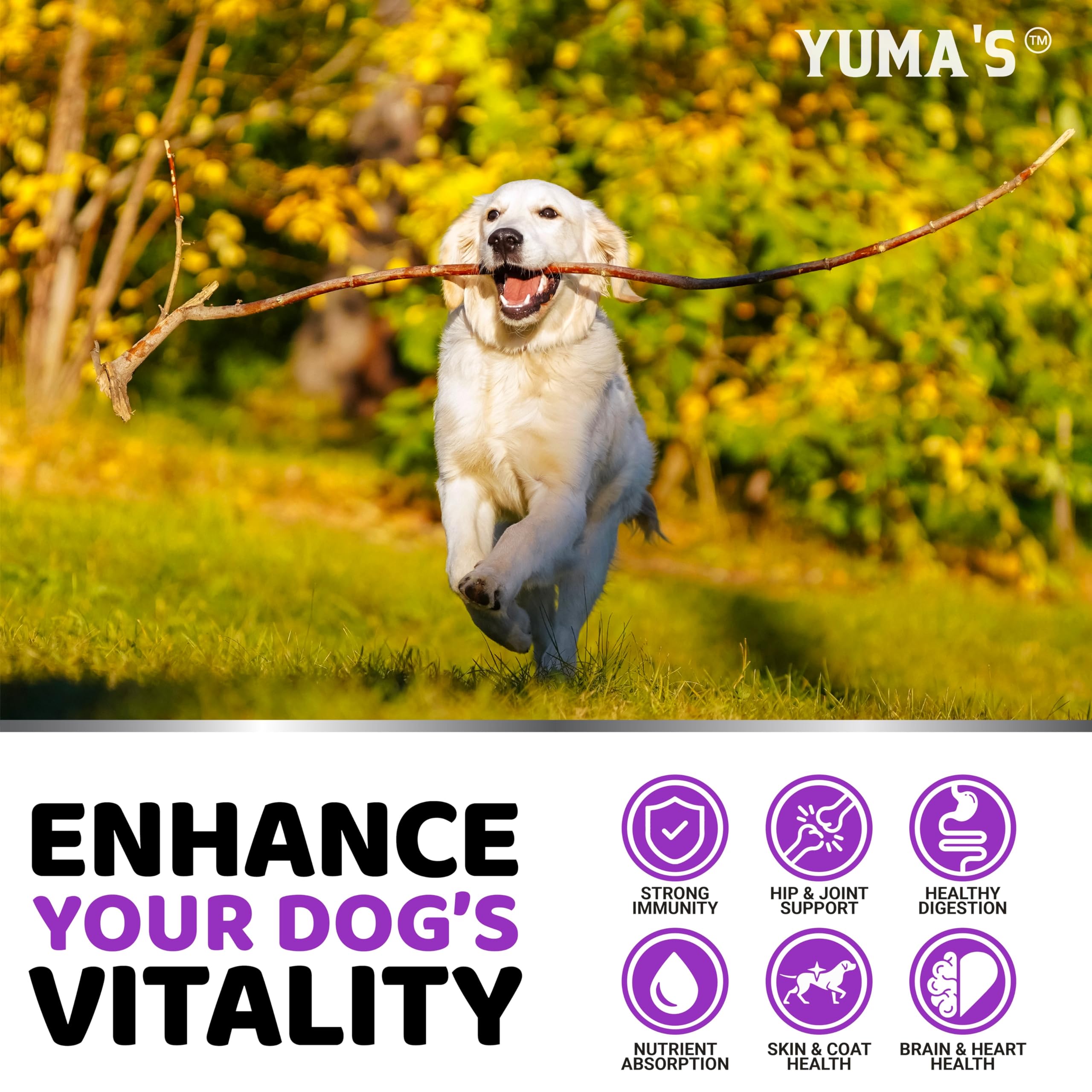YUMA'S: formulado por veterinarios para perro, tabletas diarias