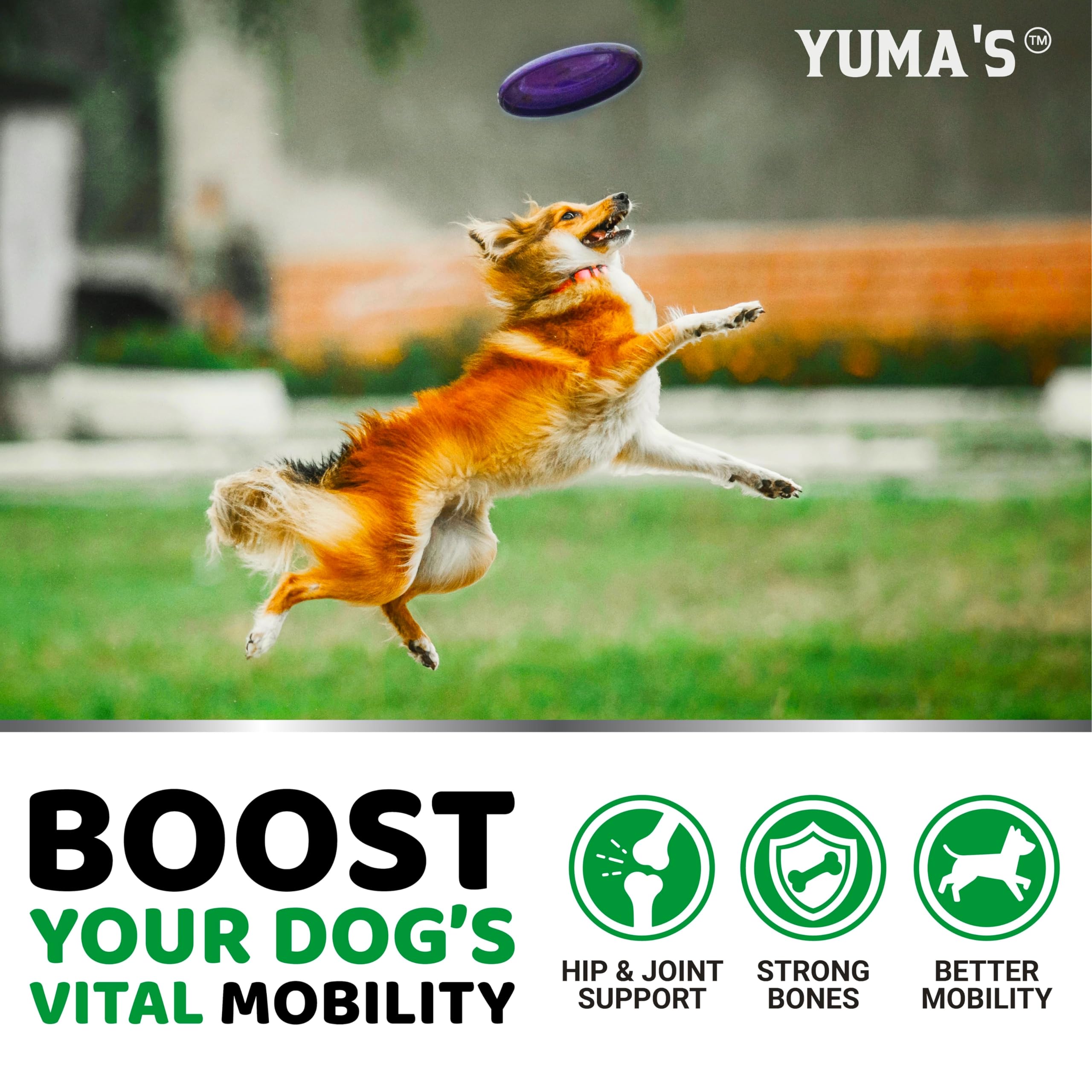 YUMA'S Glucosamina para perros, detalle de la caja y empaque.