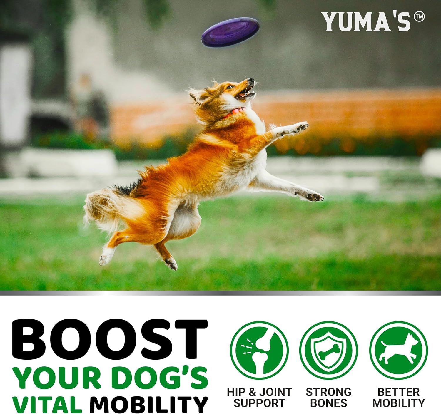 YUMA'S glucosamina para perros: etiqueta muestra ingredientes clave como condroitina y MSM.