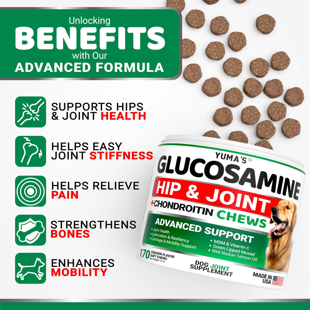 YUMA'S Glucosamina para perros: movilidad activa para paseos diarios.
